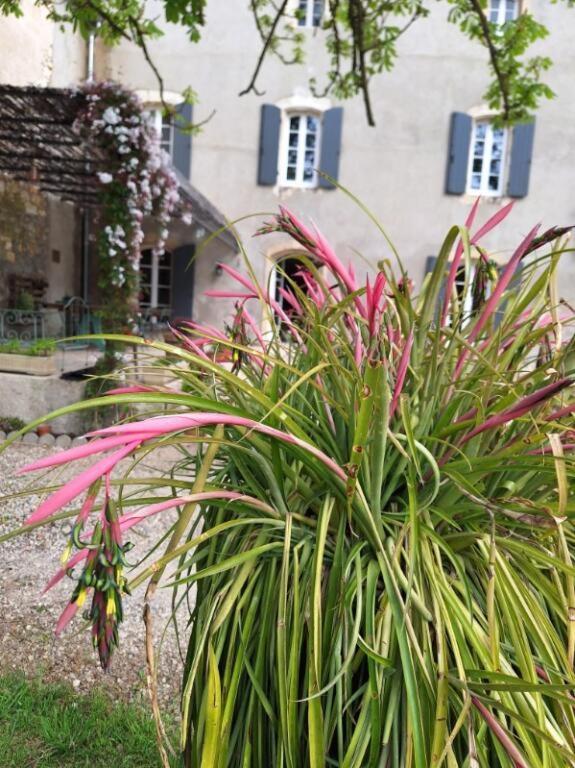 Domaine De Capoulade Bed & Breakfast Narbonne Dış mekan fotoğraf