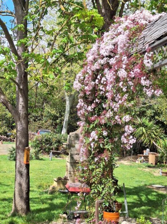 Domaine De Capoulade Bed & Breakfast Narbonne Dış mekan fotoğraf